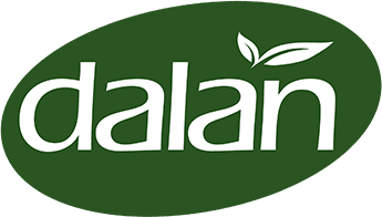 Dalan